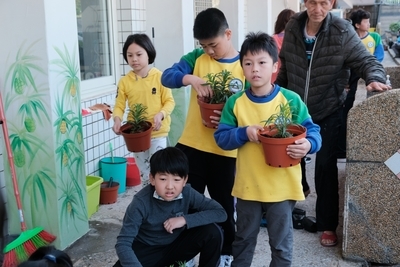 校內自然老師指導學生種植百合在盆栽中圖片