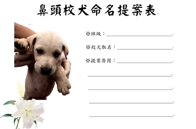 校犬命名提案表