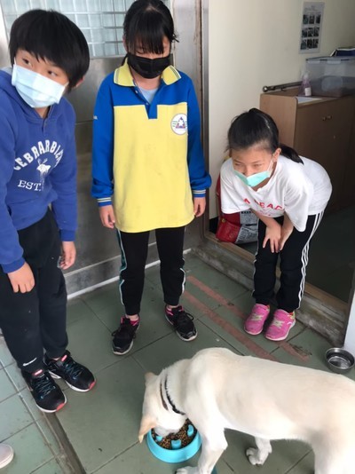 指導學生餵食校犬