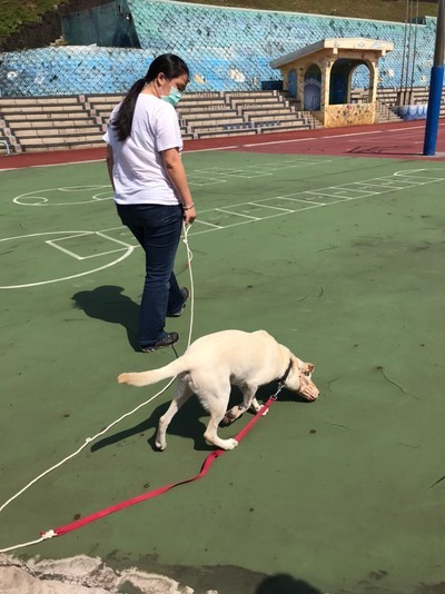 外聘訓練師指導校犬